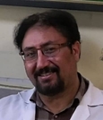 دکتر سید ستارالدین محمدیان