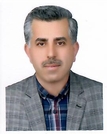 دکتر سید احمد میری گرجی