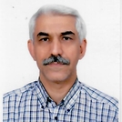 دکتر عارف حسینیان امیری