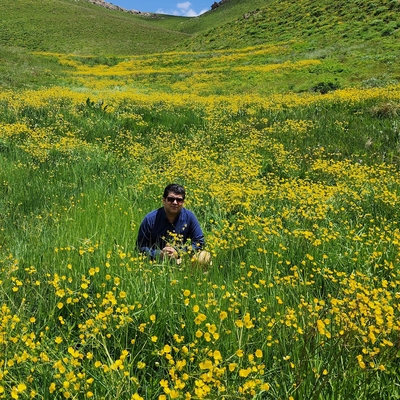 دکتر سید جلال الدین نقشبندی