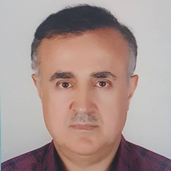 دکتر محمد محمدزالی